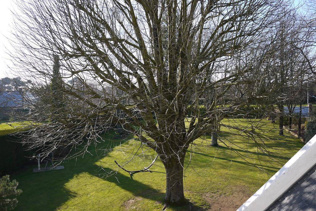 Le Clos De Kerhouil Saint Anne-dʼAuray Exterior foto